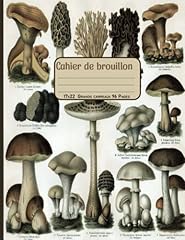 Cahier brouillon papier d'occasion  Livré partout en France