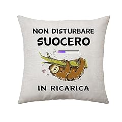 Aconesong cuscino copertura usato  Spedito ovunque in Italia 