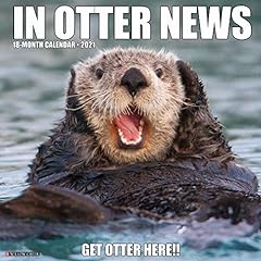 Otter news 2021 for sale  Delivered anywhere in USA 