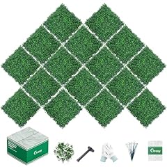 Grooy 16pcs boxwood for sale  Delivered anywhere in USA 