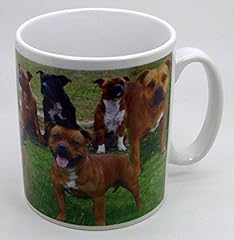 Plate collectors shop for sale  Delivered anywhere in UK