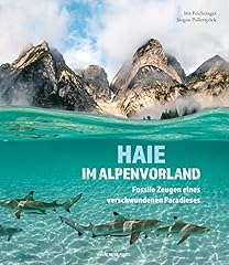 Haie alpenvorland fossile gebraucht kaufen  Wird an jeden Ort in Deutschland