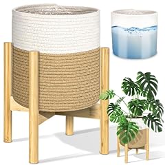 Paulinn plant basket for sale  Delivered anywhere in USA 