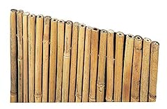 Arella canniccio bamboo usato  Spedito ovunque in Italia 