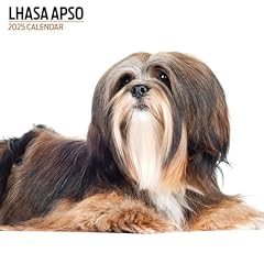 Calendario moderno lhasa usato  Spedito ovunque in Italia 