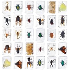 Pcs insect resin for sale  Delivered anywhere in USA 