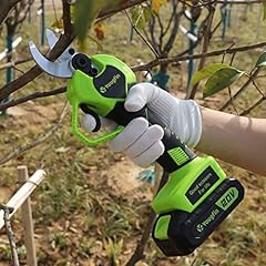 Yougfin electric pruning for sale  Delivered anywhere in USA 