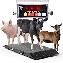 Medium livestock scale for sale  Delivered anywhere in USA 