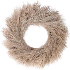 Sggvecsy pampas grass for sale  Delivered anywhere in USA 