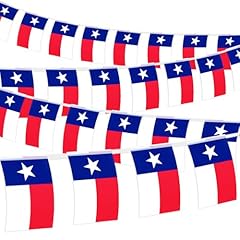 32.8 texas flag for sale  Delivered anywhere in USA 