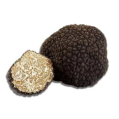 Tartufo nero estivo usato  Spedito ovunque in Italia 