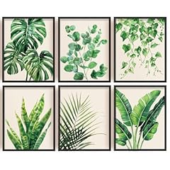 Infunly pcs botanical for sale  Delivered anywhere in UK
