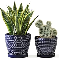Docrin ceramic plant for sale  Delivered anywhere in USA 