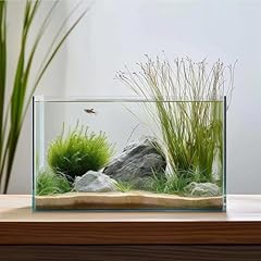 Vimvins gallon glass for sale  Delivered anywhere in USA 