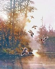 Five flying ducks for sale  Delivered anywhere in USA 