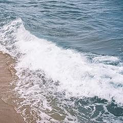 The sea d'occasion  Livré partout en France