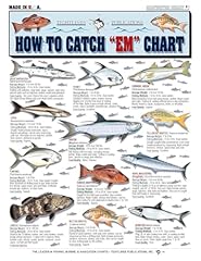 Catch saltwater fish for sale  Delivered anywhere in USA 