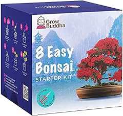 Bonsai tree kit for sale  Delivered anywhere in UK