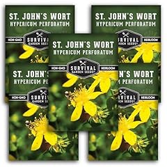 St. john wort for sale  Delivered anywhere in USA 