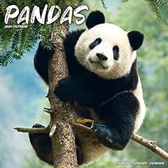 Pandas pandabären 2024 gebraucht kaufen  Wird an jeden Ort in Deutschland