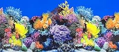 Xcno fish tank for sale Xcno fish tank for sale  Delivered anywhere in USA