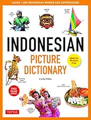 Indonesian picture dictionary gebraucht kaufen  Wird an jeden Ort in Deutschland