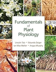 Fundamentals plant physiology for sale  Delivered anywhere in UK