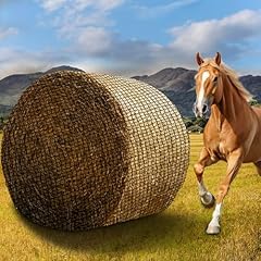 6x6 large round for sale  Delivered anywhere in USA 