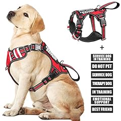 Winsee service dog for sale  Delivered anywhere in USA 