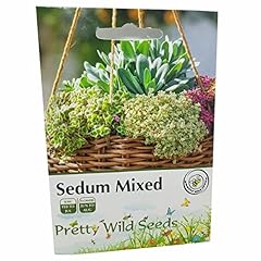 Sedum seeds pictorial for sale  Delivered anywhere in UK