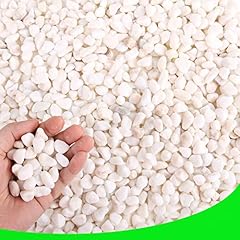 Cjgq white pebbles for sale  Delivered anywhere in USA 