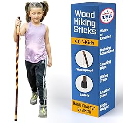 Hickory hollow kids for sale  Delivered anywhere in USA 