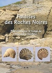 Falaises roches noires d'occasion  Livré partout en France