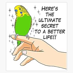 Magnet budgies make for sale  Delivered anywhere in USA 