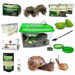 Land snail terrarium for sale  Delivered anywhere in USA 
