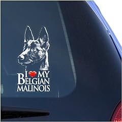 Love belgian malinois for sale  Delivered anywhere in USA 