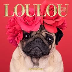 Loulou the pug d'occasion  Livré partout en France