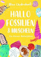 Fossilien muscheln kleiner gebraucht kaufen  Wird an jeden Ort in Deutschland