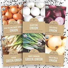 Organic onion seeds for sale  Delivered anywhere in USA 