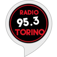 Radio torino usato  Spedito ovunque in Italia 