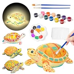 Loungelore paint turtle for sale  Delivered anywhere in USA 