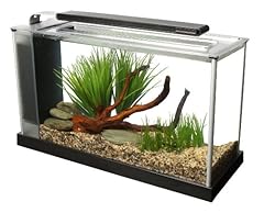 Fluval spec aquarium for sale  Delivered anywhere in UK