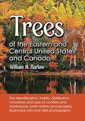 Trees eastern central for sale  Delivered anywhere in USA 