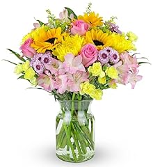 Benchmark bouquets rays for sale  Delivered anywhere in USA 