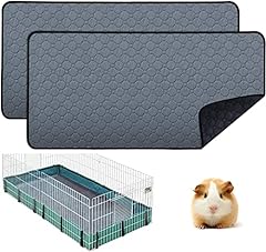 Pcs guinea pig for sale  Delivered anywhere in USA 