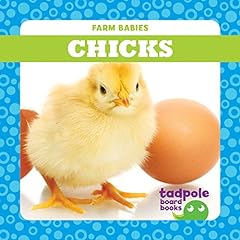 Chicks for sale  Delivered anywhere in UK