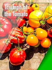 Triumph tomato for sale  Delivered anywhere in USA 