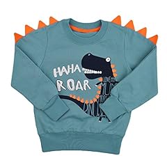 Boys dinosaur sweatshirts for sale  Delivered anywhere in USA 