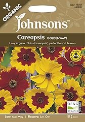 Johnsons org coreopsis for sale  Delivered anywhere in UK