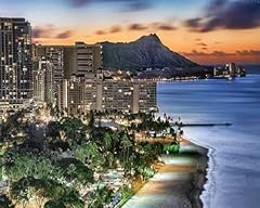Oksgyta painting honolulu for sale  Delivered anywhere in USA 